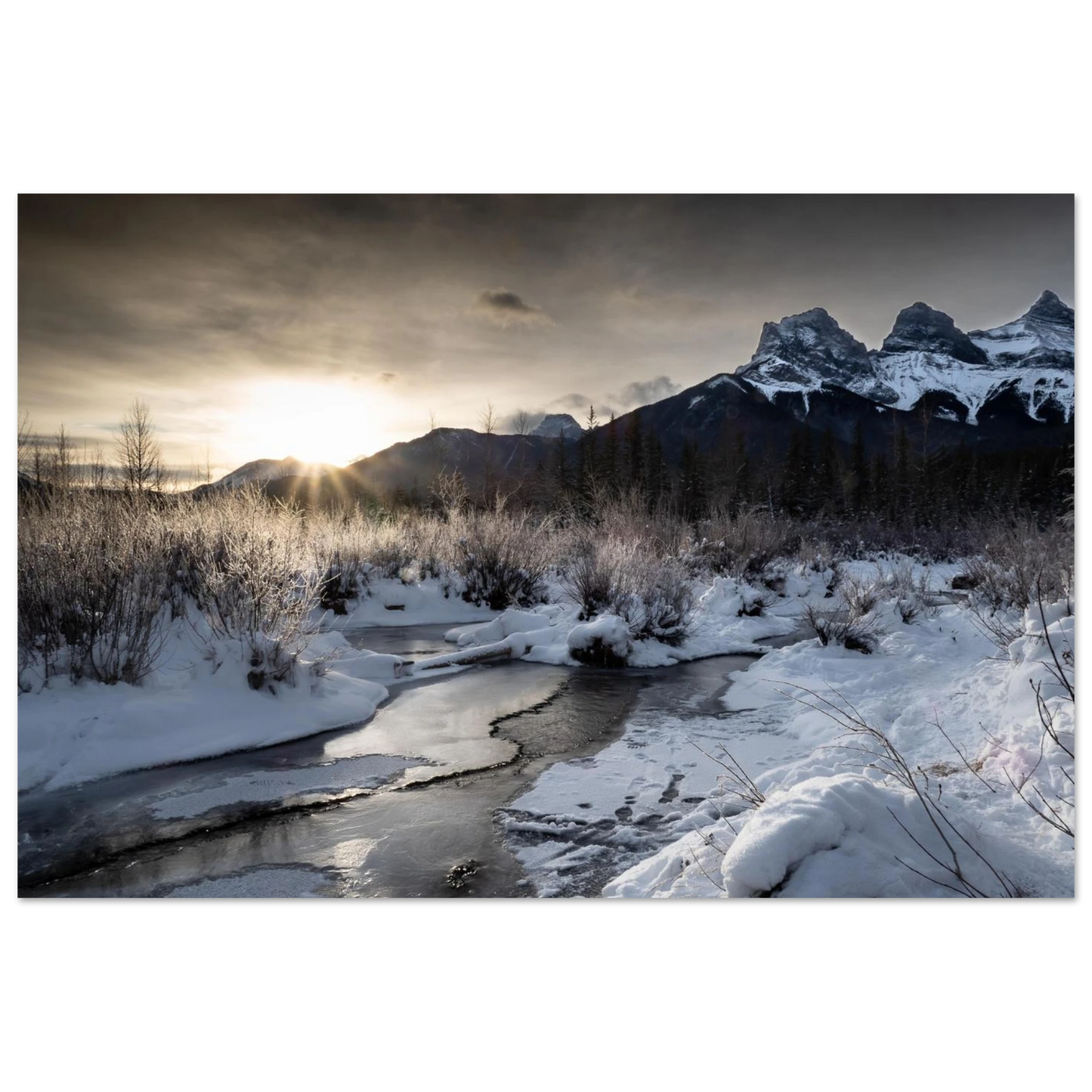 9d732884-10d9-4c65-947b-c3582649c745