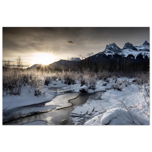 9d732884-10d9-4c65-947b-c3582649c745